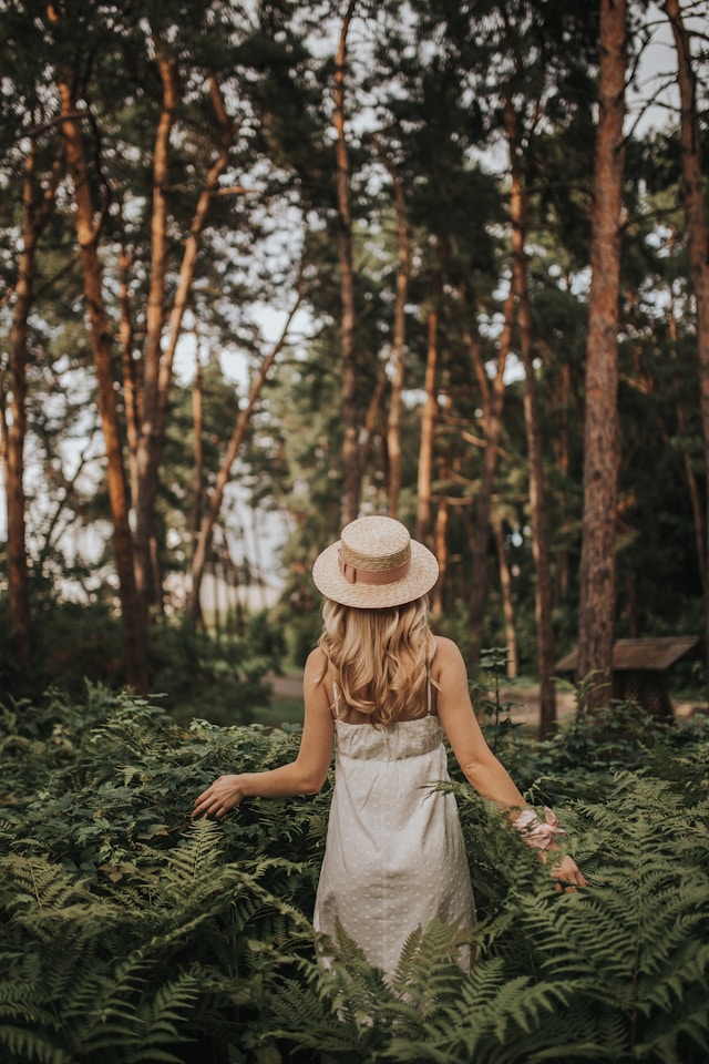 Taisiia-stupak-wq1UDPnVpJM-unsplash